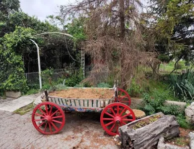 Σπίτι Προς πώληση 9300 село Пчеларово BG